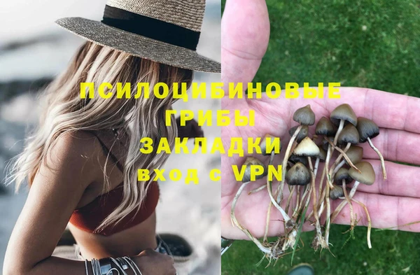 PSILOCYBIN Ессентукская