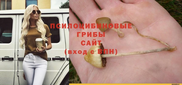 синтетический гашиш Медвежьегорск