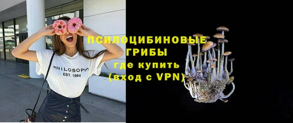 стаф Мегион
