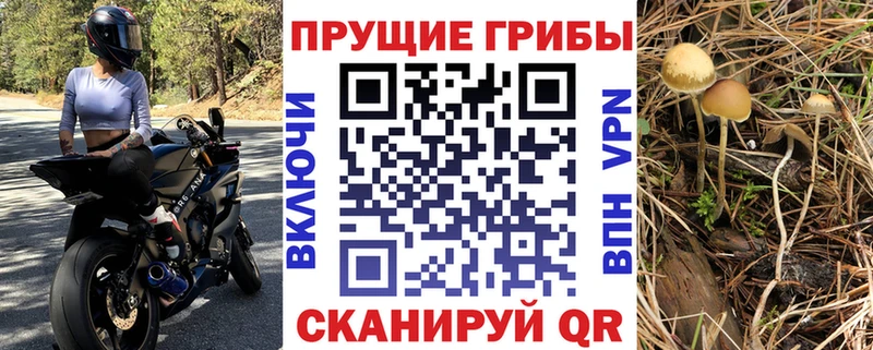 Галлюциногенные грибы GOLDEN TEACHER  Купить закладки  Мыски 